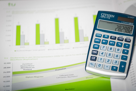 Ein Arbeitsblatt mit Diagrammen in grünen Balken und ein Taschenrechner rechts.
